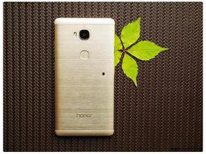 欧美黑料 第4页